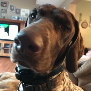 Meet your Posher, Teri